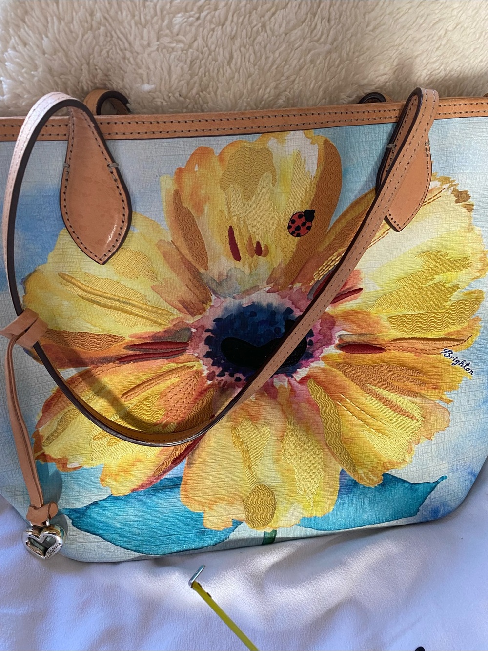 Brighton purse with multiple pockets and dust bag. Amazing condition!